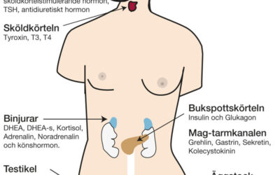 Hurra för kroppens självläkning!