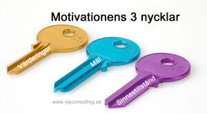3 nycklar till motivation